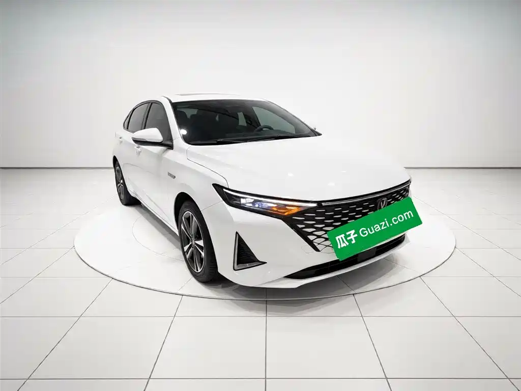 Ruicheng PLUS 1.5 T DCT Distinguished