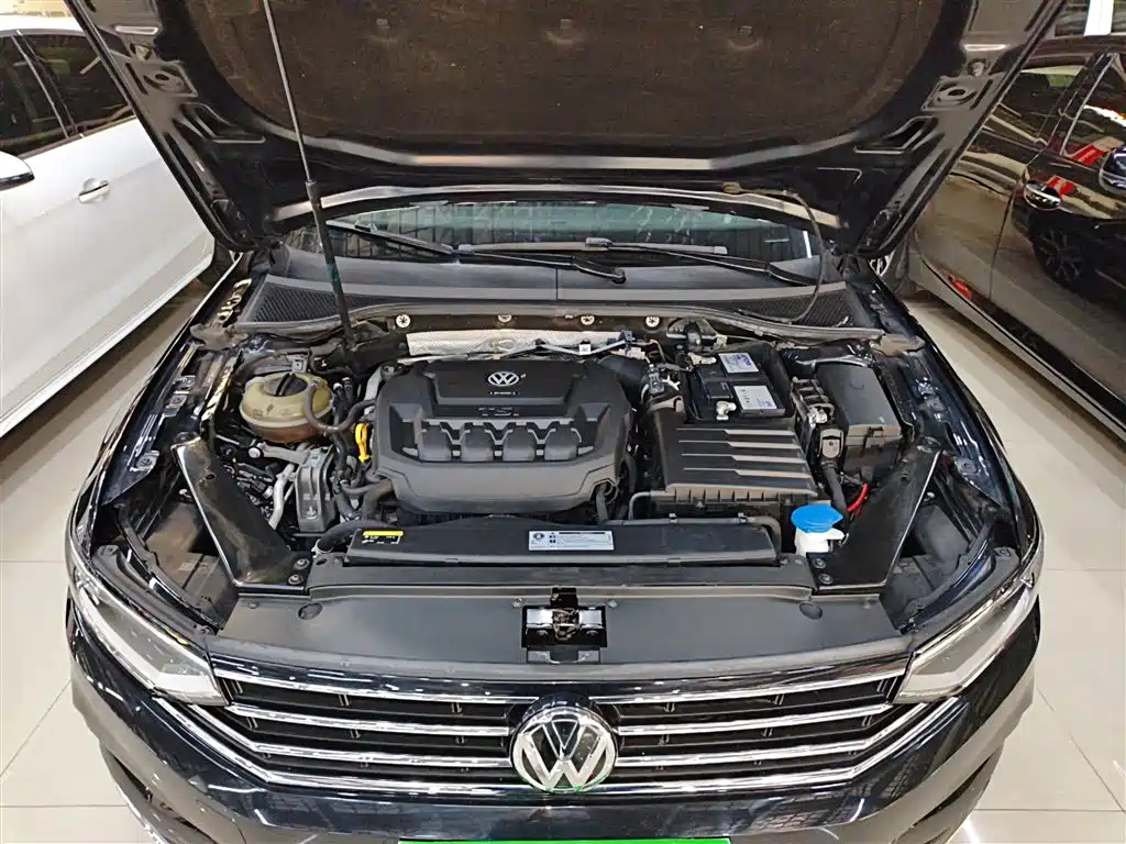 Magotan 330 TSI DSG Leading