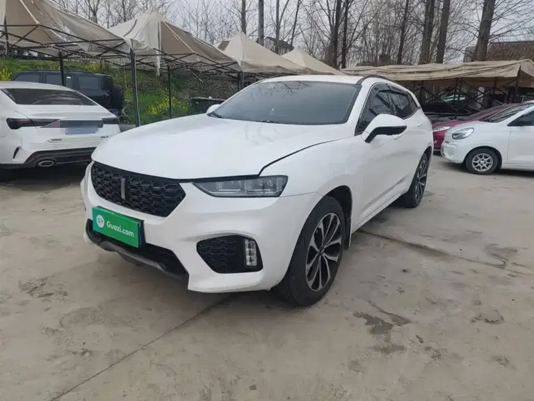 WEY VV7 2.0 T Super Luxury