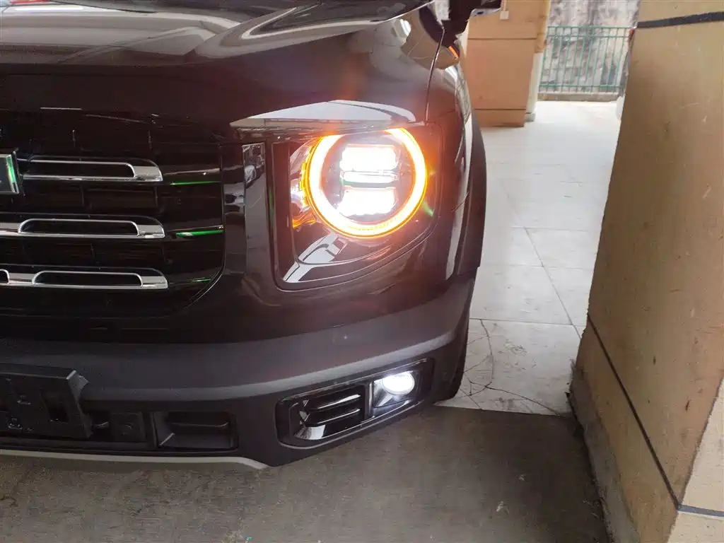 Haval Dargo 2.0 T DCT 4 WD Howling Dog