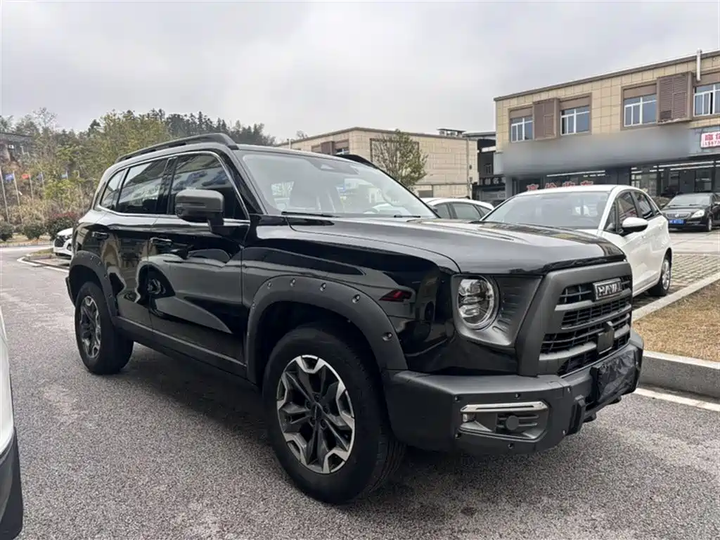 Haval Dargo 2.0 T DCT Brilliance Country Dog