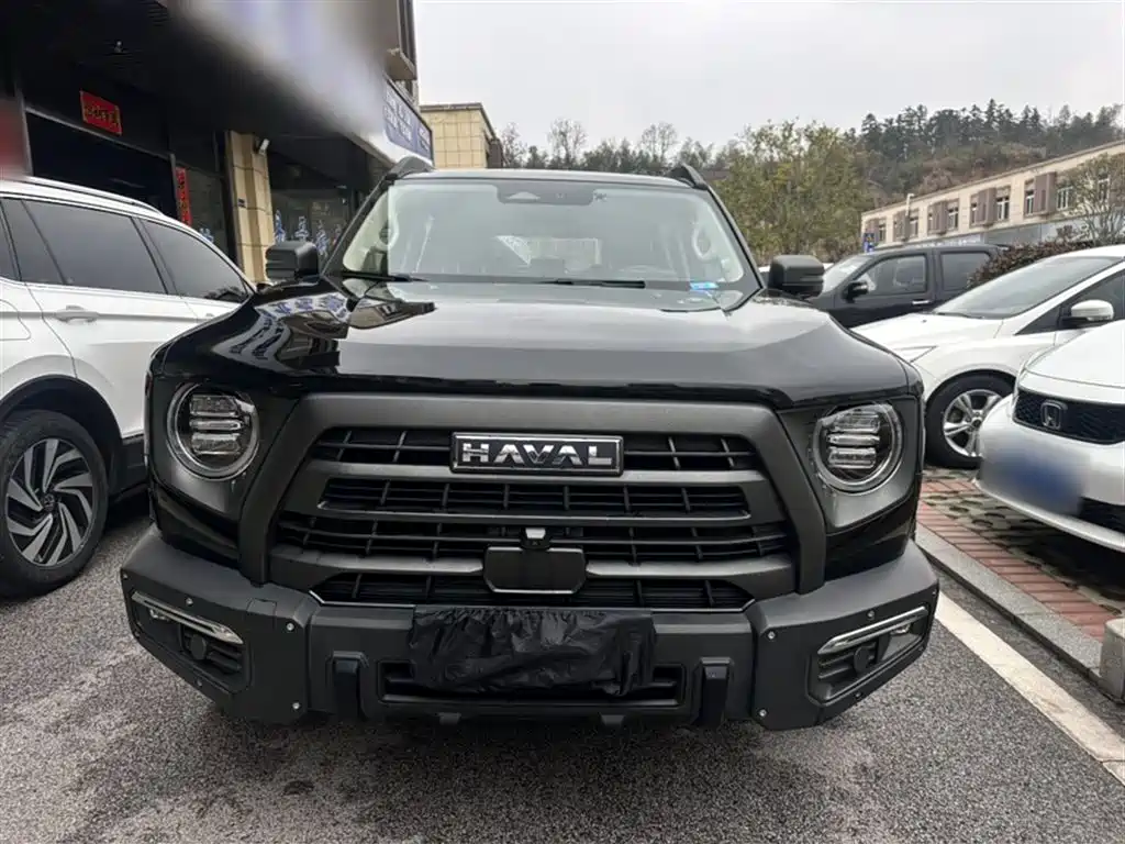 Haval Dargo 2.0 T DCT Brilliance Country Dog