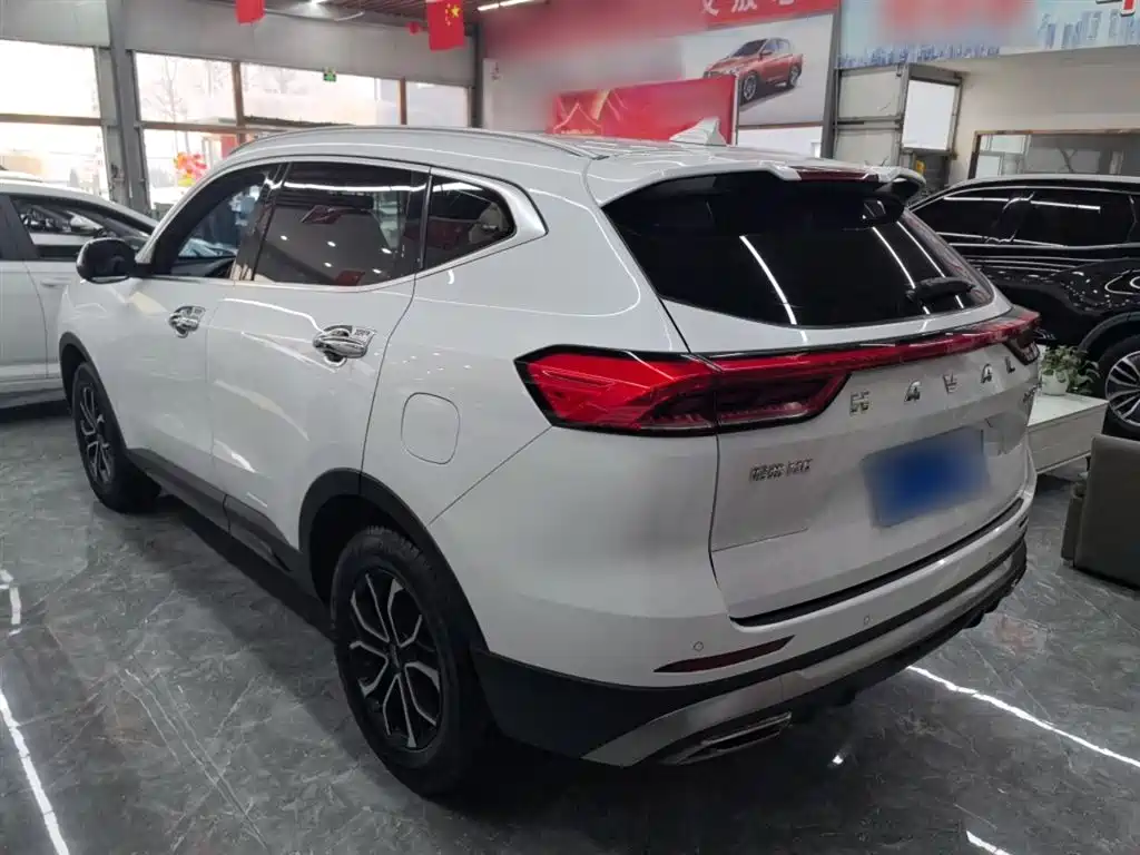 Haval H6 China Style 1.5 T Auto Urban