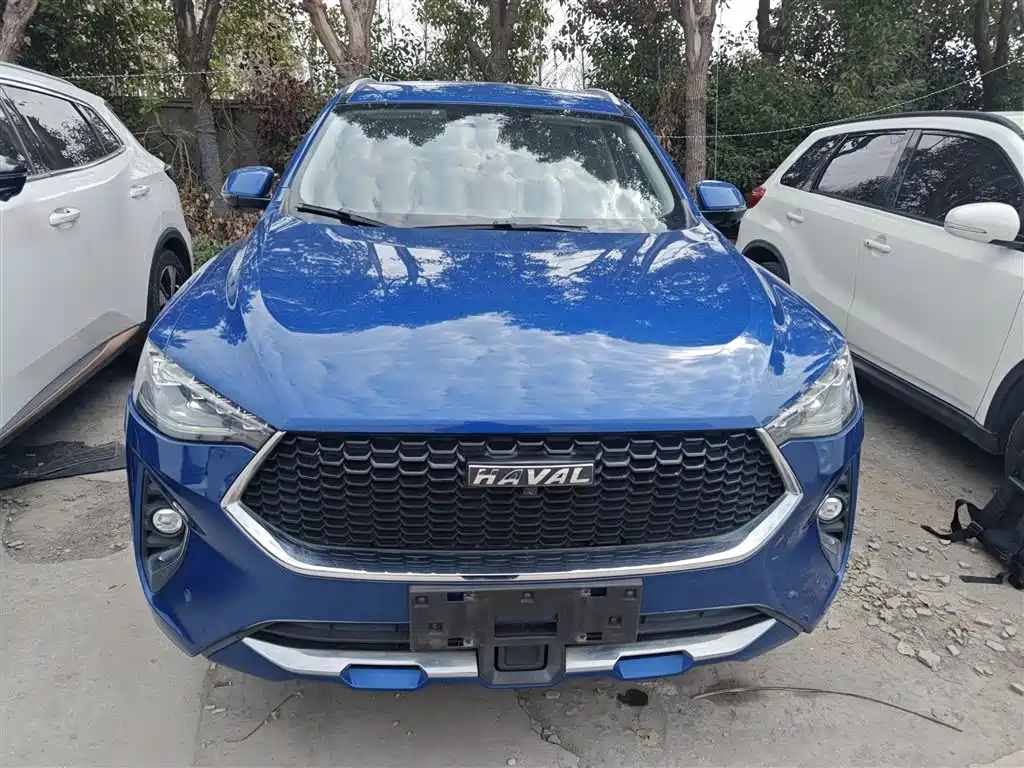 Haval F7 哈弗F7 2019款 2.0 T 两驱i范 国VI