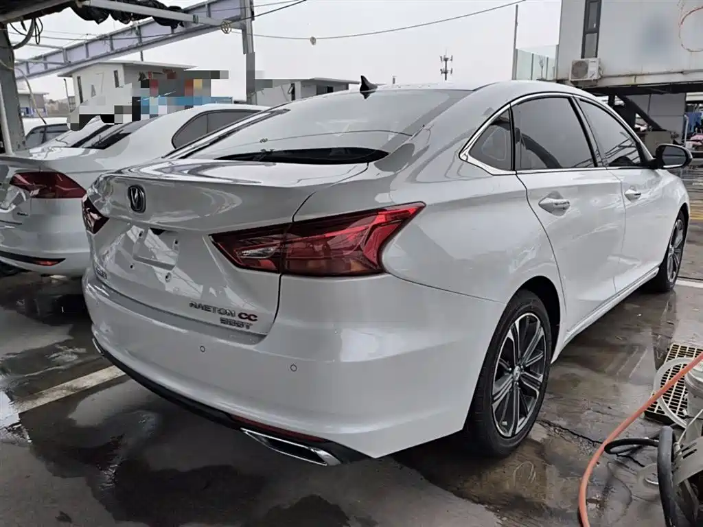 Ruicheng CC Blue Whale 1.5 T DCT Luxury