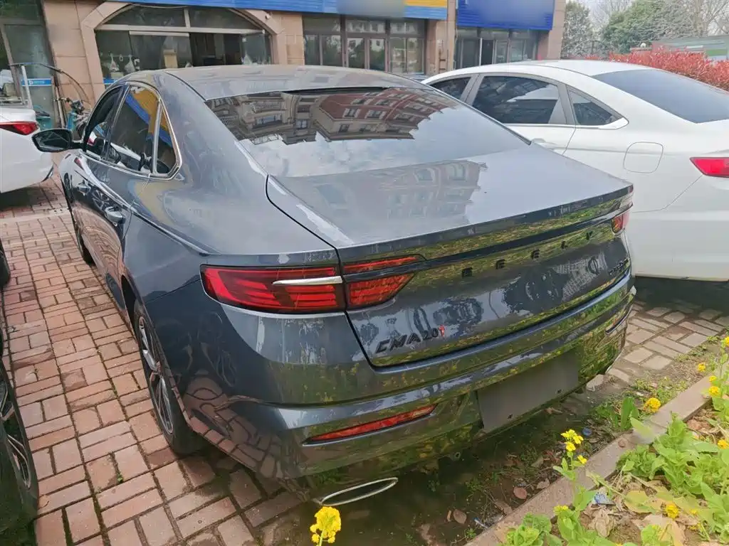Xingrui 2.0 TD Luxury