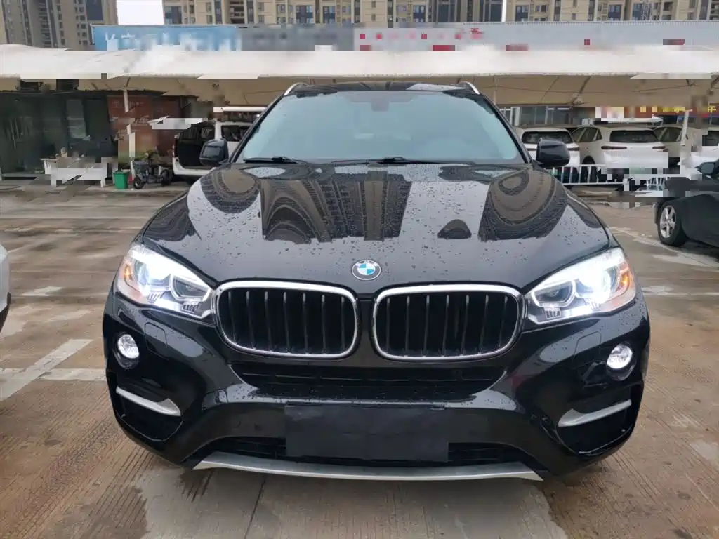 BMW X6 xDrive35 i Leading