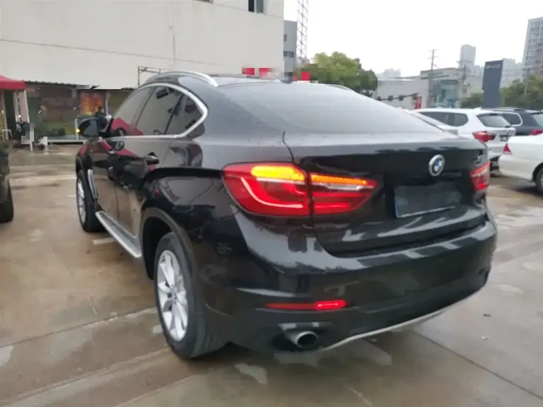 BMW X6 xDrive35 i Leading