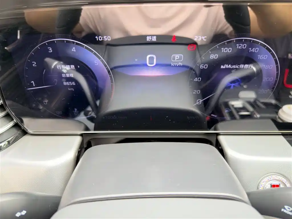 Hongqi HS5 2.0 T Flagship Enjoyment Pro