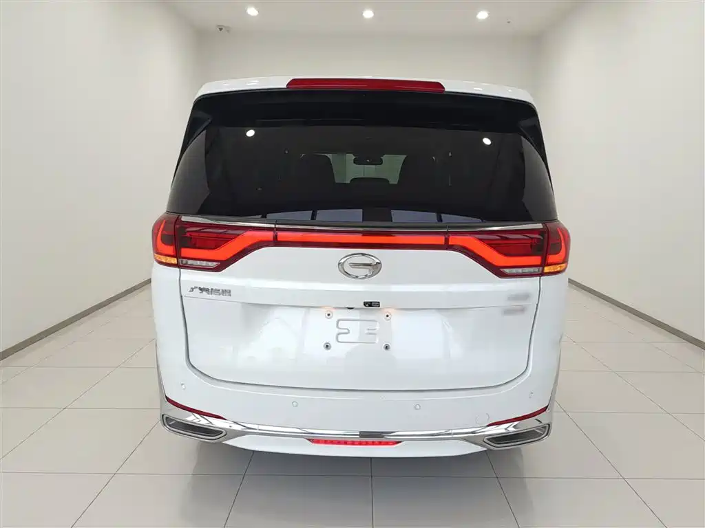 GAC Trumpchi M8 Leading Show Series 390 T Premium