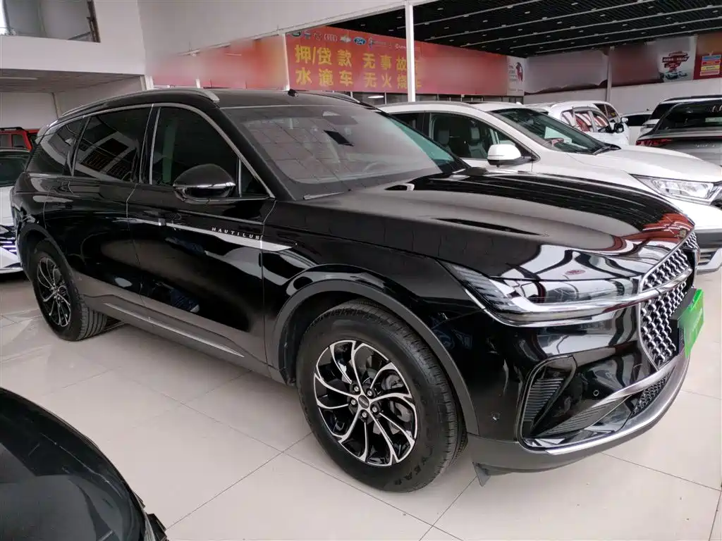Nautilus 2.0 T 4 WD Premium
