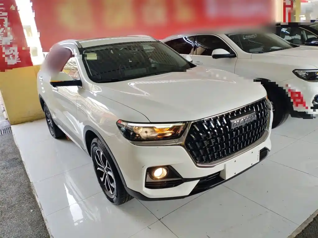 Haval H6 China Style 1.5 T Auto Urban