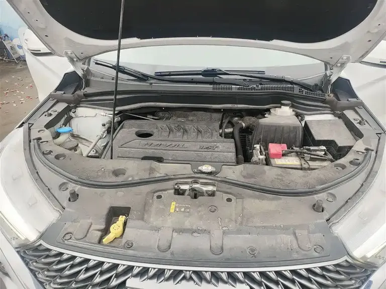 Haval M6 PLUS 1.5 T DCT Luxury Connected