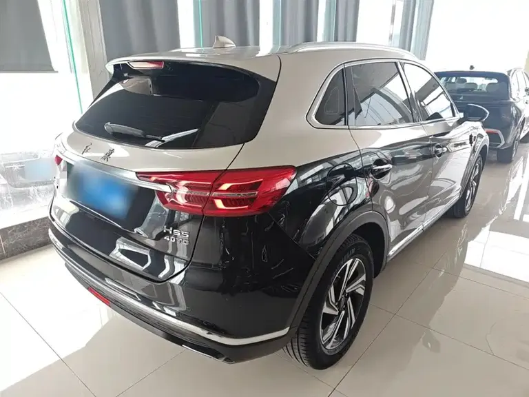 Hongqi HS5 2.0 T Connected Flagship Enjoyment Shopping