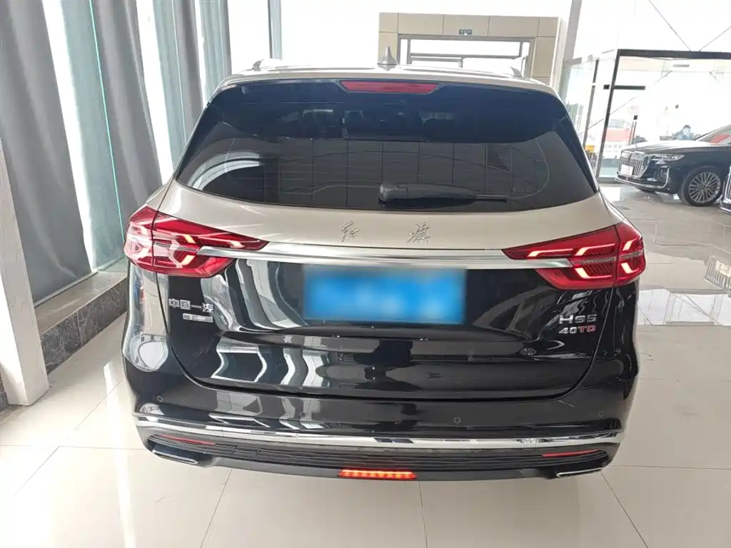 Hongqi HS5 2.0 T Connected Flagship Enjoyment Shopping