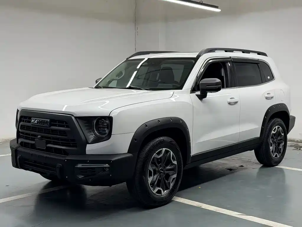 Haval Dargo 2.0 T DCT 4 WD Brilliance Country Dog Hunt