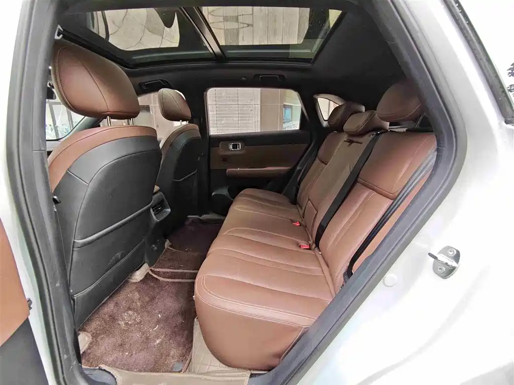 Wuling Starlight S 130 km Flagship