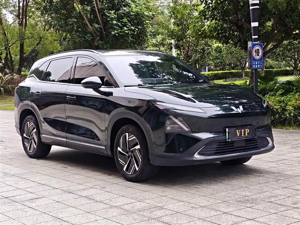 Wuling Starlight S 130 km Flagship