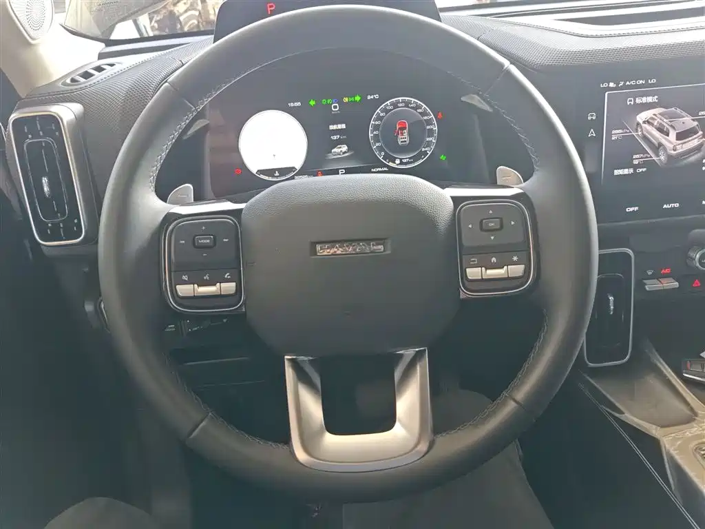 Haval Dargo 2.0 T DCT Brilliance Country Dog