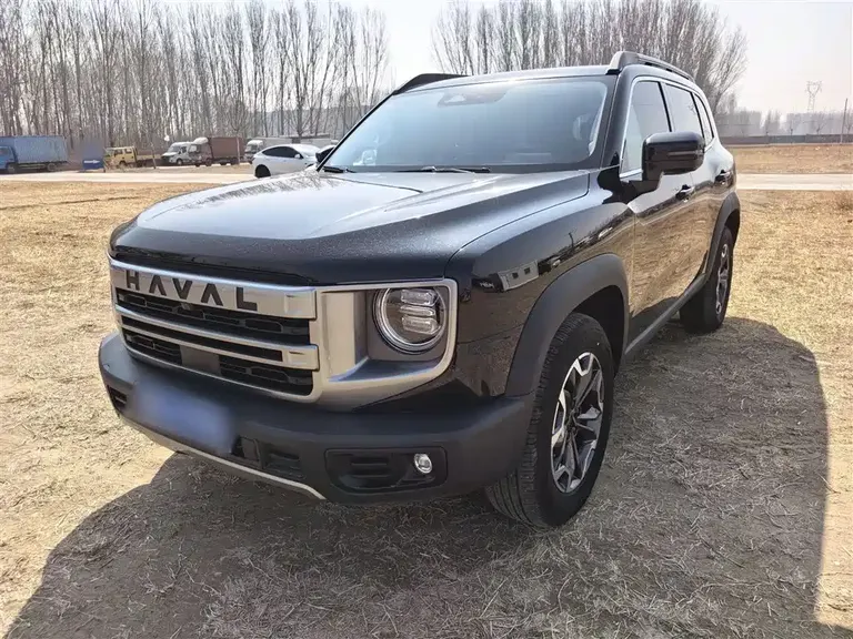 Haval Dargo 2.0 T DCT Brilliance Country Dog
