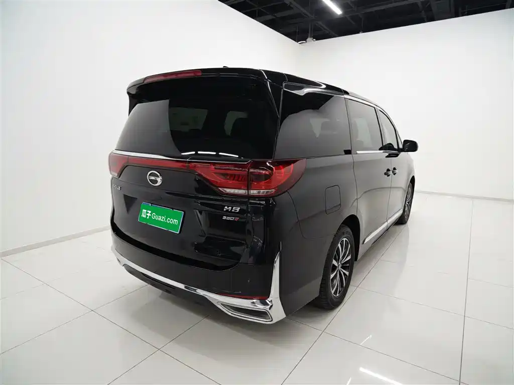 GAC Trumpchi M8 Leading Show Series 390 T Premium