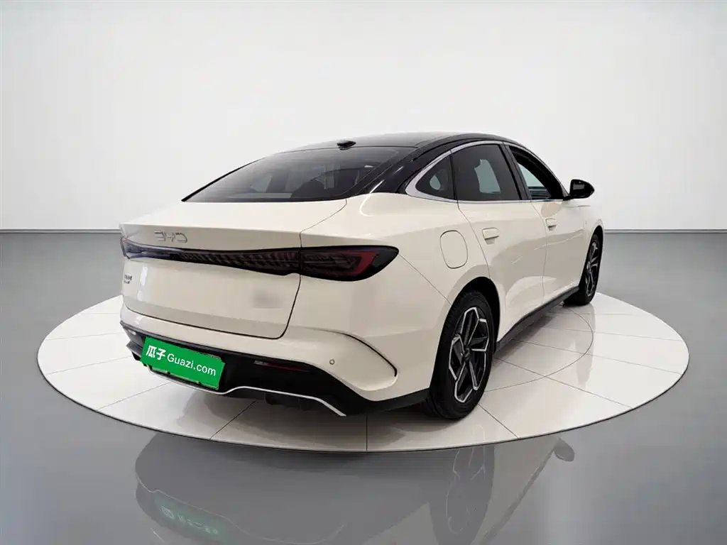 Seal 06 DM-i 120 KM Flagship