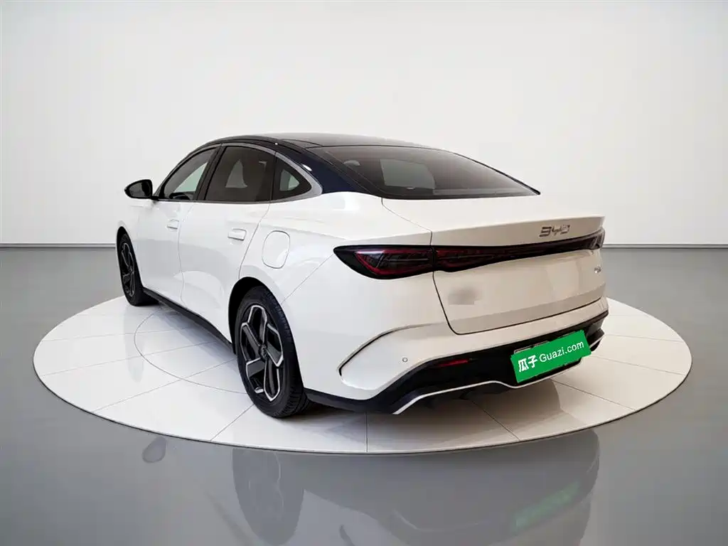 Seal 06 DM-i 120 KM Flagship