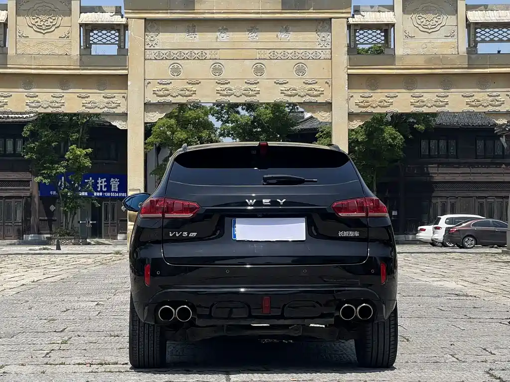 WEY VV5 2.0 T Super Luxury