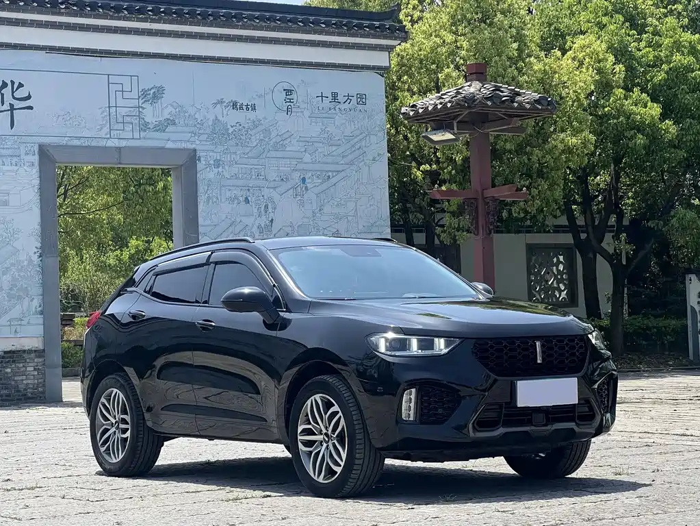 WEY VV5 2.0 T Super Luxury