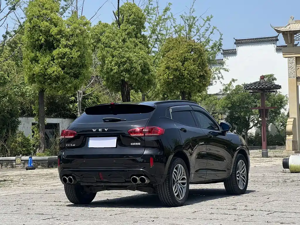 WEY VV5 2.0 T Super Luxury