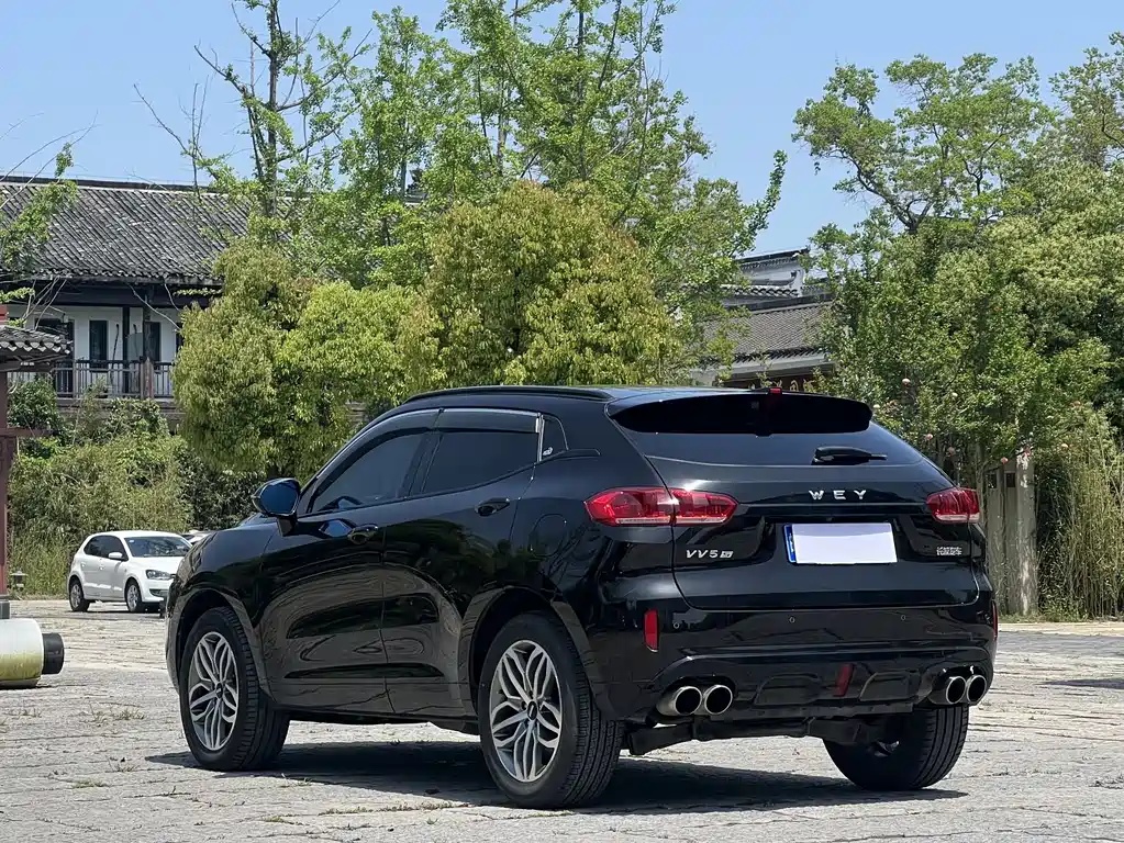 WEY VV5 2.0 T Super Luxury