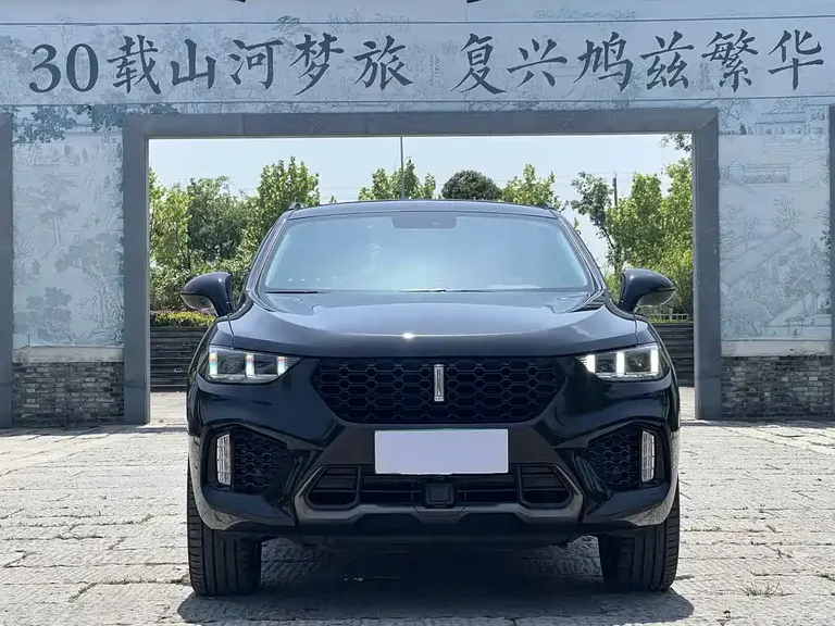 WEY VV5 2.0 T Super Luxury