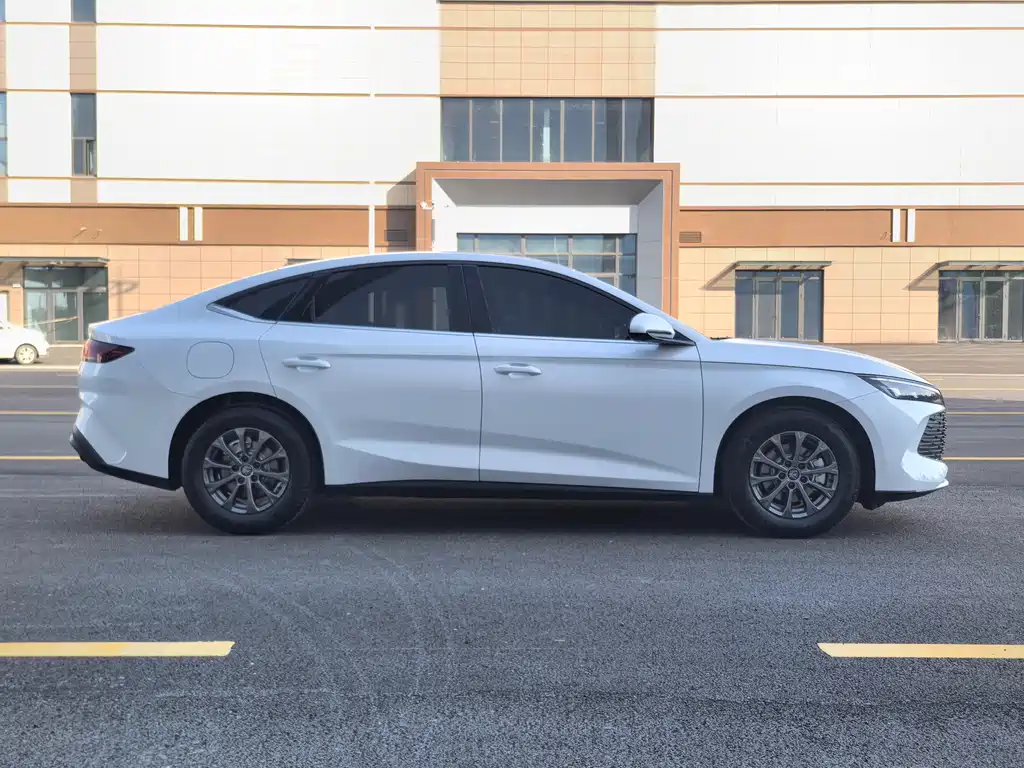 Qin L 秦L 2026款 DM-i 128 KM进取型