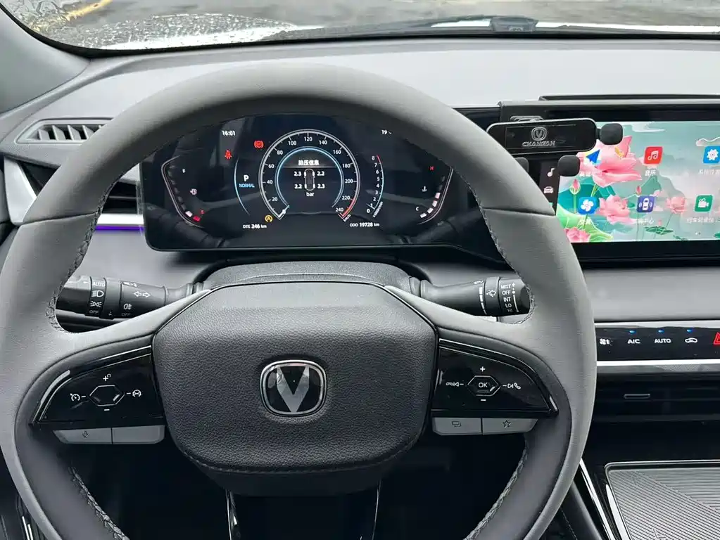 Ruicheng PLUS 1.5 T DCT Distinguished