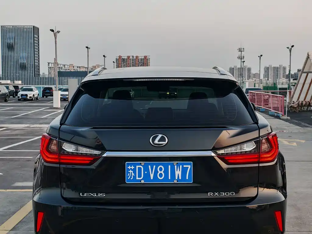 Lexus RX 300 2 WD Comfort CN-V
