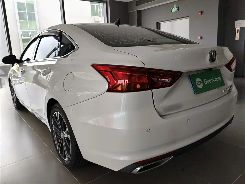Ruicheng CC Blue Whale 1.5 T DCT Luxury
