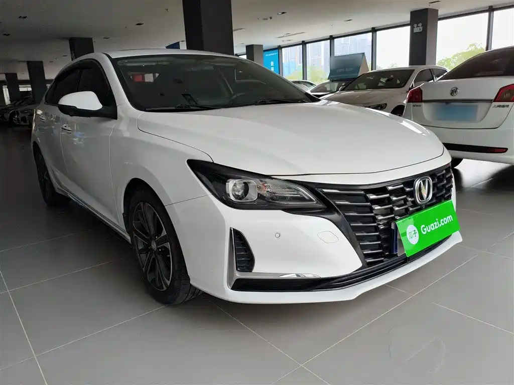 Ruicheng CC Blue Whale 1.5 T DCT Luxury