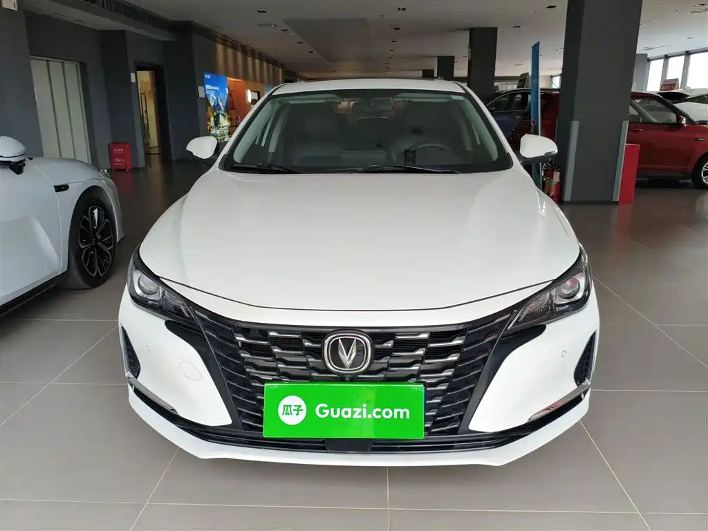 Ruicheng CC Blue Whale 1.5 T DCT Luxury