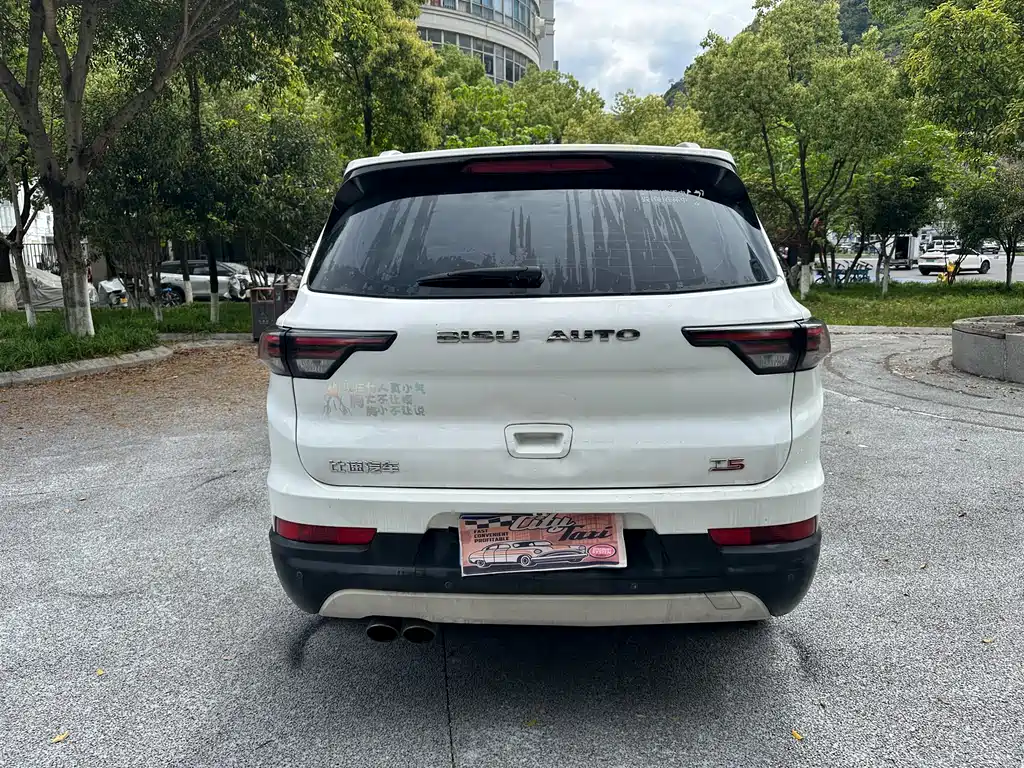 Bisu T5 1.5 T Manual Luxury