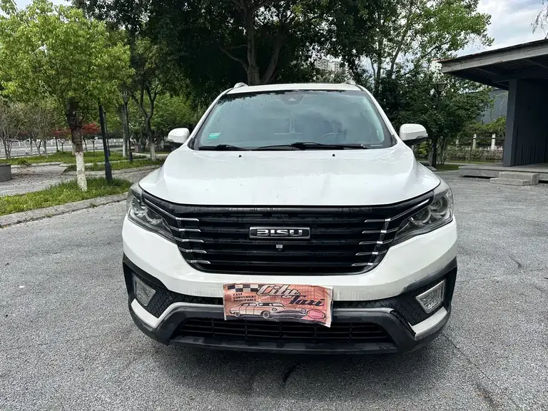 Bisu T5 1.5 T Manual Luxury