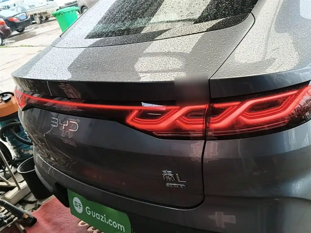 Qin L DM-i Smart Drive 120 KM Transcend