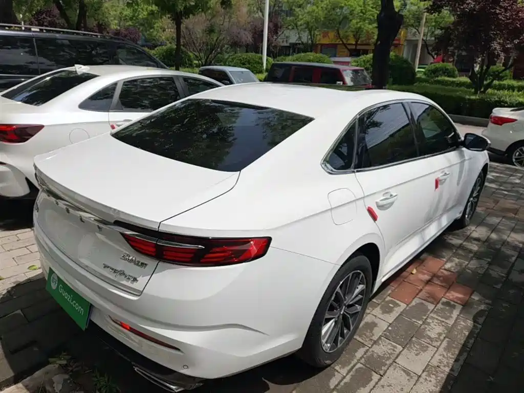 Xingrui 2.0 TD Luxury