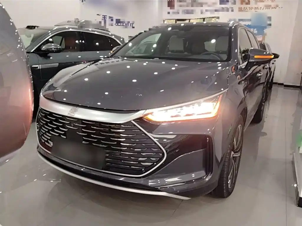 Tang NEV DM-p 215 KM 4 WD Flagship