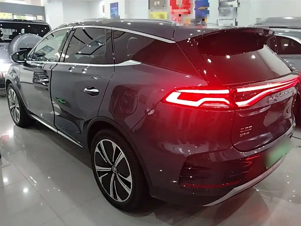 Tang NEV DM-p 215 KM 4 WD Flagship