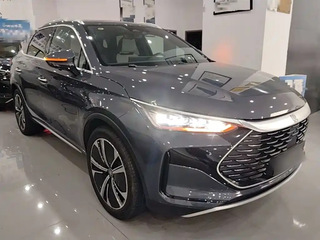 Tang NEV DM-p 215 KM 4 WD Flagship