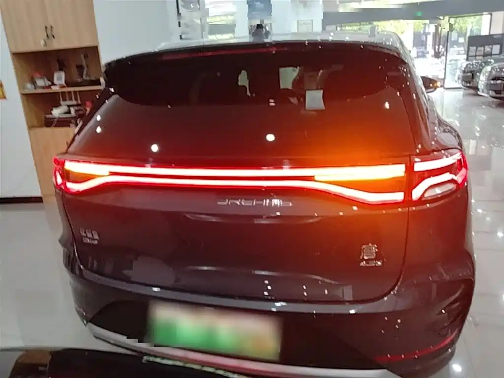 Tang NEV DM-p 215 KM 4 WD Flagship