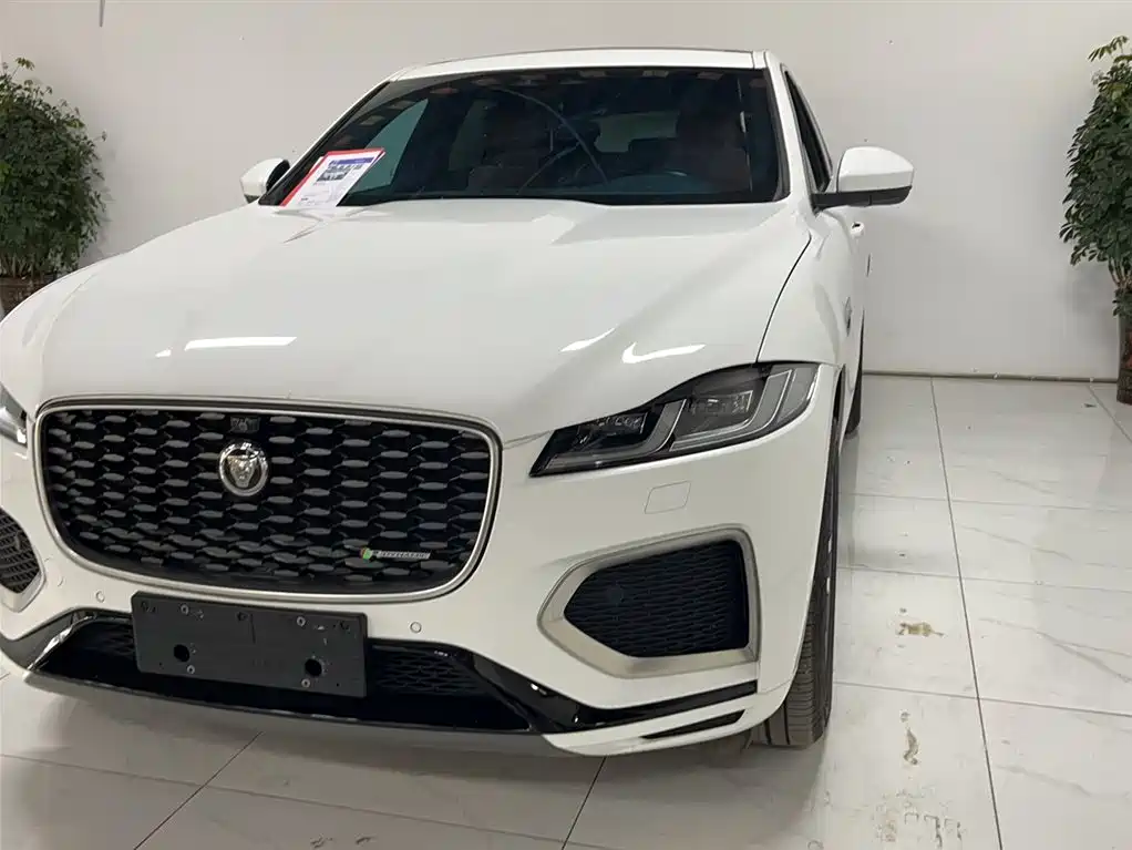 Jaguar F-PACE 250 PS R-Dynamic S