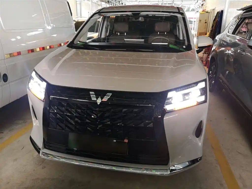 Xingguang 730 NEV 星光730新能源 2025款 插混 125 km 豪华型