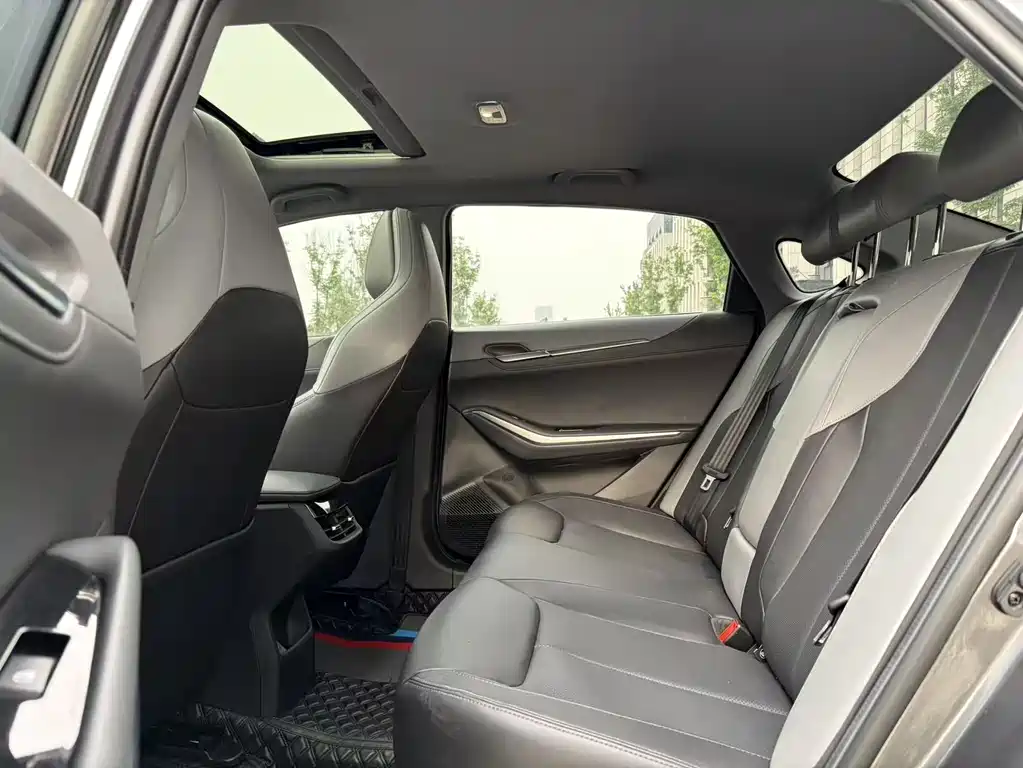 Ruicheng PLUS 1.5 T DCT Leading Joy
