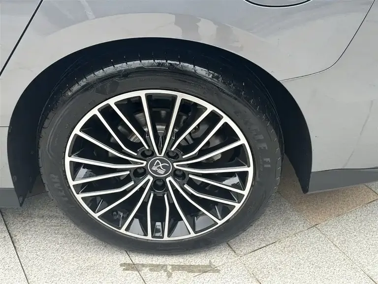 BYD Han DM-i Champion 121 KM Premium